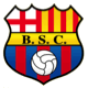 Team logo